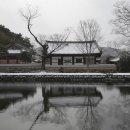 미암 이미지