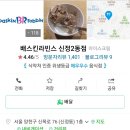 배스킨라빈스신정2동점