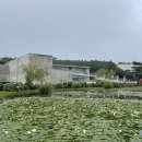 본태박물관 이미지