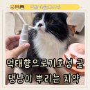 먹태향으로 기호성 높인 고양이뿌리는치약 정글몬스터 후기❣️