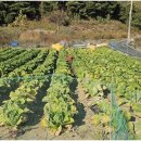 충주 행복한 농장 이미지