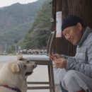 선엽스님의 자연을 마시는 힐링차
