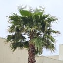 우리 가족 제주 역사·문화 탐방 이미지