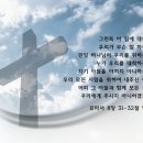 하리요8 이미지