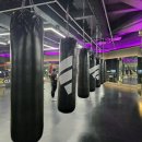 더아트복싱클럽 이미지