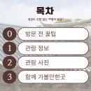 전주최씨12정려각 | 대구 동구 여행 가볼만한곳 옻골마을 봄꽃 명소 돌담길 한옥마을