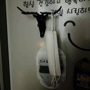 이오사슴 이미지