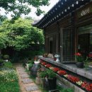 국화정원 이미지