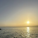 사해 | 🇯🇴 요르단 여행 | 사해 뫼벤픽 리조트 1박2일 호캉스 후기 (사해 선셋, 고양이 천국, 맛난 하프보드)