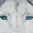 (주)신비로 이미지