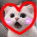 오하다 이미지