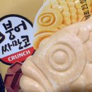 송하세무회계 | 대학생 총출동!! 재수강 여부 결정전 봄축제 스페셜!