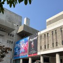 선우회관 | 뮤지컬 팬텀 10주년 공연 관극 후기🌹| 20250618 | 박효신 이지혜 페어 | 세종문화회관 대극장 1층 B열...