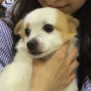 아름협회
