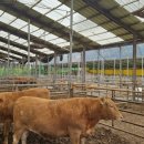 천안축산업협동조합배합사료공장 이미지