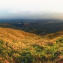 팀승전보 이미지