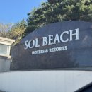 강원특별자치도동해시치매안심센터 | 속초 양양 결혼식장 대명쏠비치 웨딩홀 그랜드볼룸 예식장 후기 및 대관료 식대 비용견적