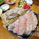 속초산오징어