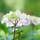 우신푸드시스템 이미지