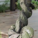 동구밖과수원 이미지