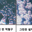 (주)에이치앤 이미지