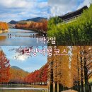 용마루길(데크끝) | 10월 11월 가을 국내여행지 추천 단풍 구경하기 좋은 담양 1박2일 여행코스