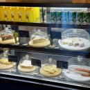 오렌지 애견 클럽 | [광주 본덕동] 실내 모래 운동장과 실외 잔디🍀밭까지 있는 애견카페 | 오렌지🍊카페 내돈내산후기