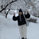 블리스글로벌