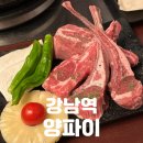 강남역 양갈비 맛집 | 고품격 중식 프렌치렉의 진수 [양파이 강남점] 후기