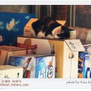 구리수퍼 이미지