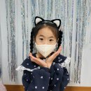 🐱고양이와 호랑이🐯 이미지