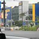 경기도 일산 이케아 고양점 방문 후기 (이케아 레스토랑, 추천 메뉴, 구경)
