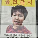 힐링팜약국 | 4월, 퇴사 후 백수 일기