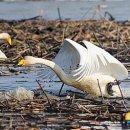 동읍1200 이미지