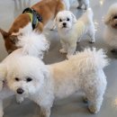 멍더캐슬 이미지