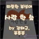 한 술