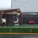 피유빌리지 이미지