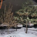 [춘천 글램핑] 춘천 신촌캠프장, 글램핑존 B 친구들과 1박2일