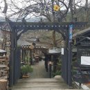 민들레울 이미지