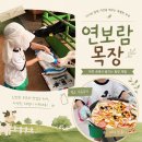 우행목장 | 김포 아이와 가볼 만한 곳, 연보람 목장 체험 후기 (피자 만들기, 젖소 우유주기, 트랙터 타기 등)