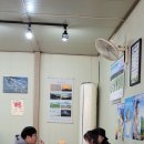 완도19호 이미지