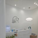 강서동물병원 | 우리막둥이 강서하이동물병원으로 정착