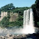 서귀동-43 이미지