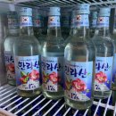주포차 - 서귀포시 | 주포차