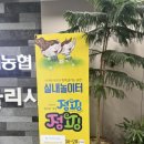 바니점핑 | [육아] 강릉 노암동 점핑점핑; 아이와 부모가 함께 즐기는 실내놀이터 키즈카페