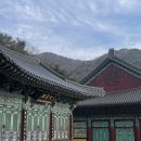 솔솔바람 | 천안 여행 코스 | 각원사 솔솔바람 에소 불나는쭈꾸미