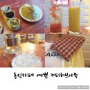 커피허브나무 이미지