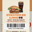 동해시청 | [동해] 버거킹 동해시청점 / 신규 매장, 신규 오픈 갈릭 불고기 와퍼 내돈내산 후기