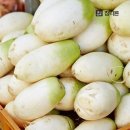무 이미지