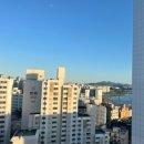 옐로우엠 | [여행] 호텔 나루 서울 엠갤러리, 서울 호캉스 추천 내돈내산 숙박 - (1) 프리미어 남산, 인피니티풀 후기